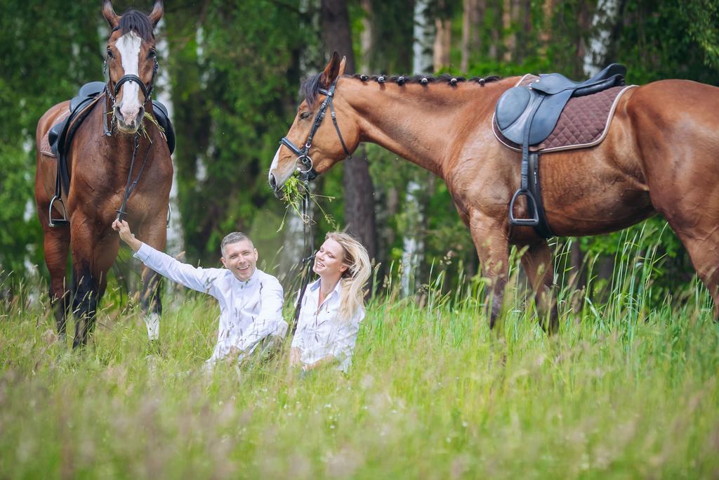 Hubertus Aparthotel & Restaurant & Horse Club Starogard Gdański Rum bild