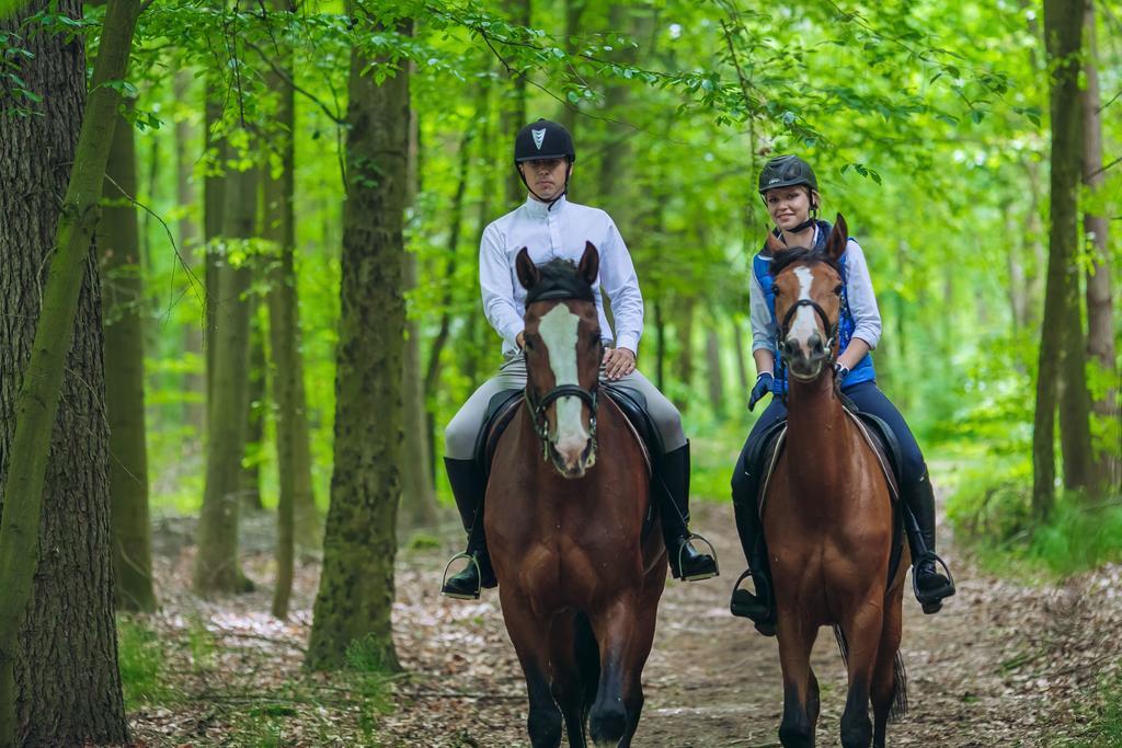Hubertus Aparthotel & Restaurant & Horse Club Starogard Gdański Rum bild
